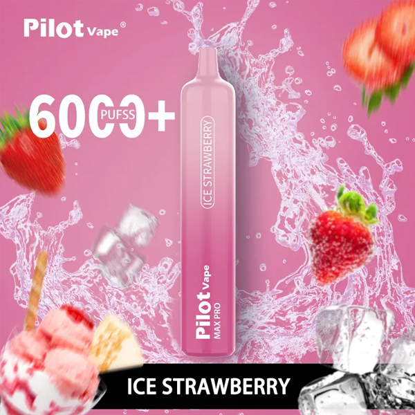 Pilot vape 6000